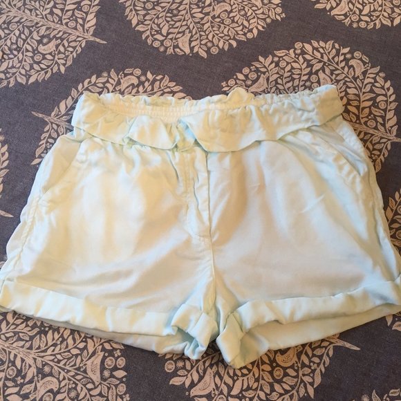 Wilfred Mint Green High Waisted Shorts - Picture 1 of 4